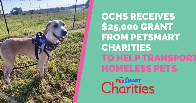 OKTIBBEHA COUNTY HUMANE SOCIETY RECEIVES $25,000 GRANT FROM PETSMART CHARITIES TO HELP TRANSPORT HOMELESS PETS