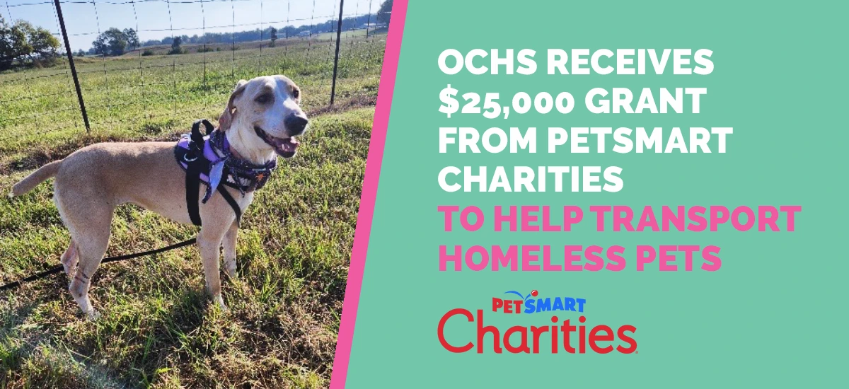 OKTIBBEHA COUNTY HUMANE SOCIETY RECEIVES $25,000 GRANT FROM PETSMART CHARITIES TO HELP TRANSPORT HOMELESS PETS